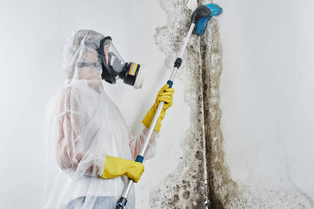Water Damage Restoration in Green Springs, OH