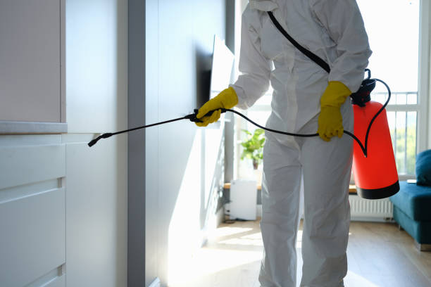 Best Mold Testing  in Green Springs, OH