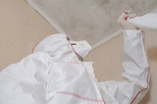Best Commercial Mold Removal  in Green Springs, OH